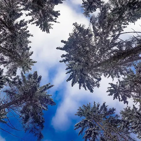 Bed and breakfast Orval16 Abbaye d'Orval