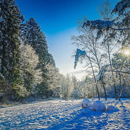 Orval16 3* Abbaye d'Orval